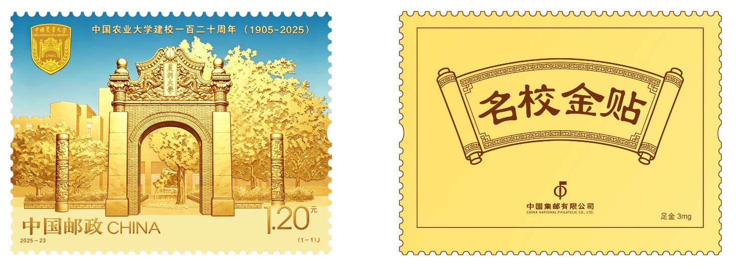 《一战封神 名校金贴》手机贴_22