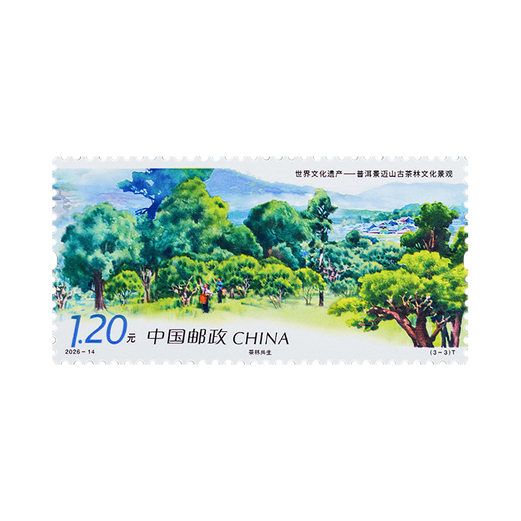 世界文化遗产——普洱景迈山古茶林文化景观_3