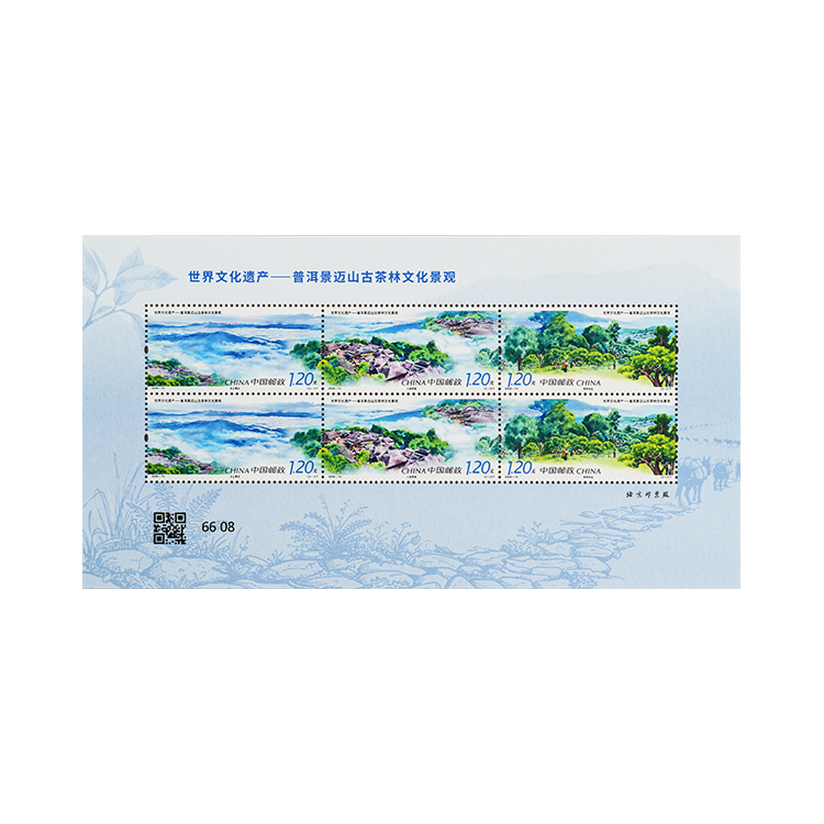 世界文化遗产——普洱景迈山古茶林文化景观_4
